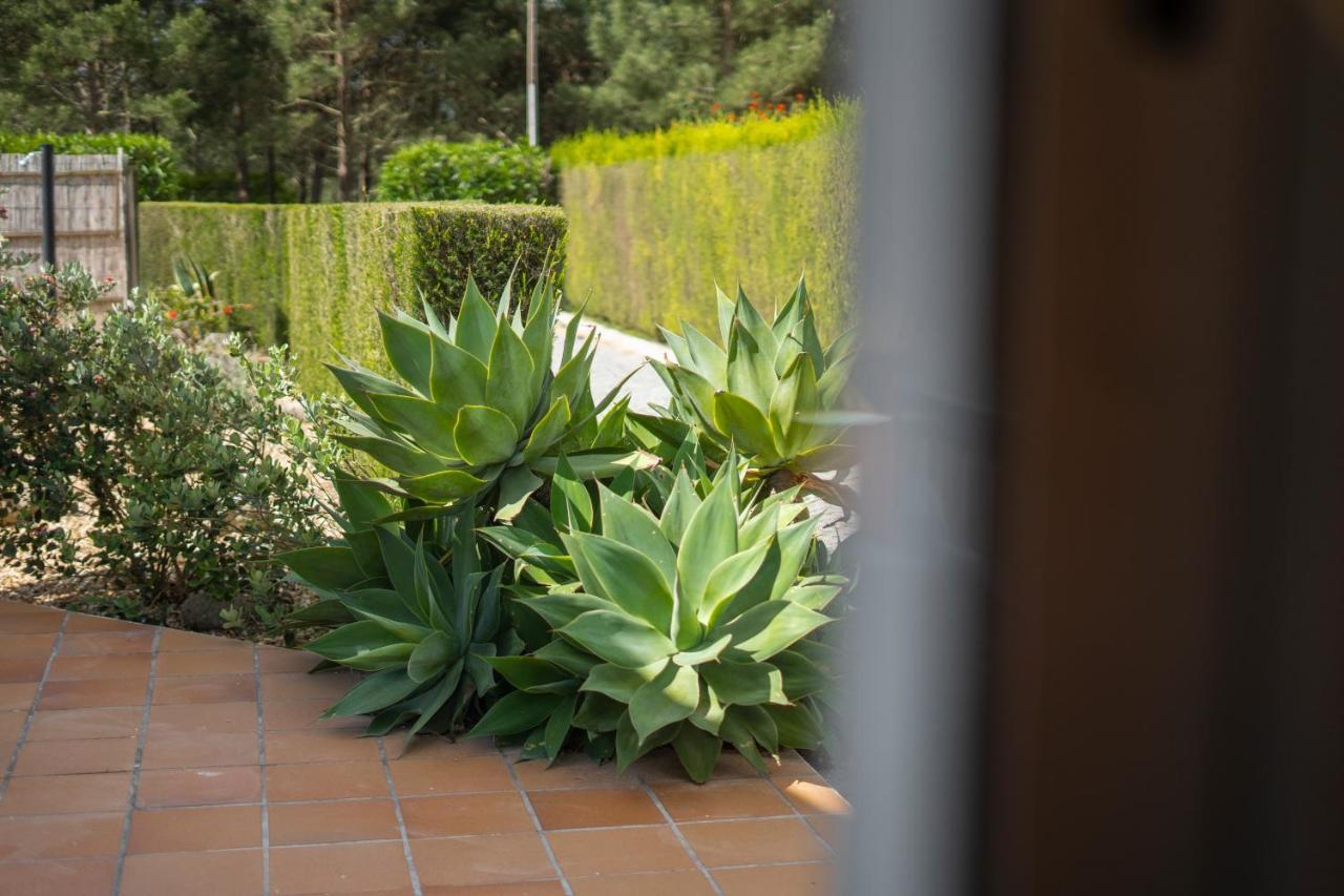 Casa Garrod - Spacious Family Villa Aljezur Esterno foto